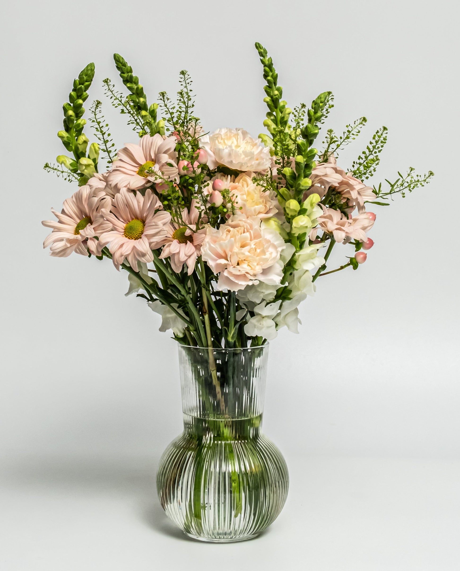Soft blush and cream flower arrangement with daisies, carnations, and snapdragons in a ribbed glass vase – handcrafted daily by Rainbow Floral Toronto.