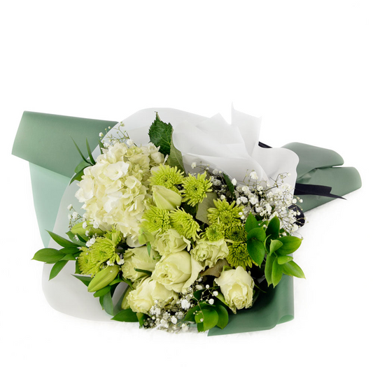 Monochrome Green