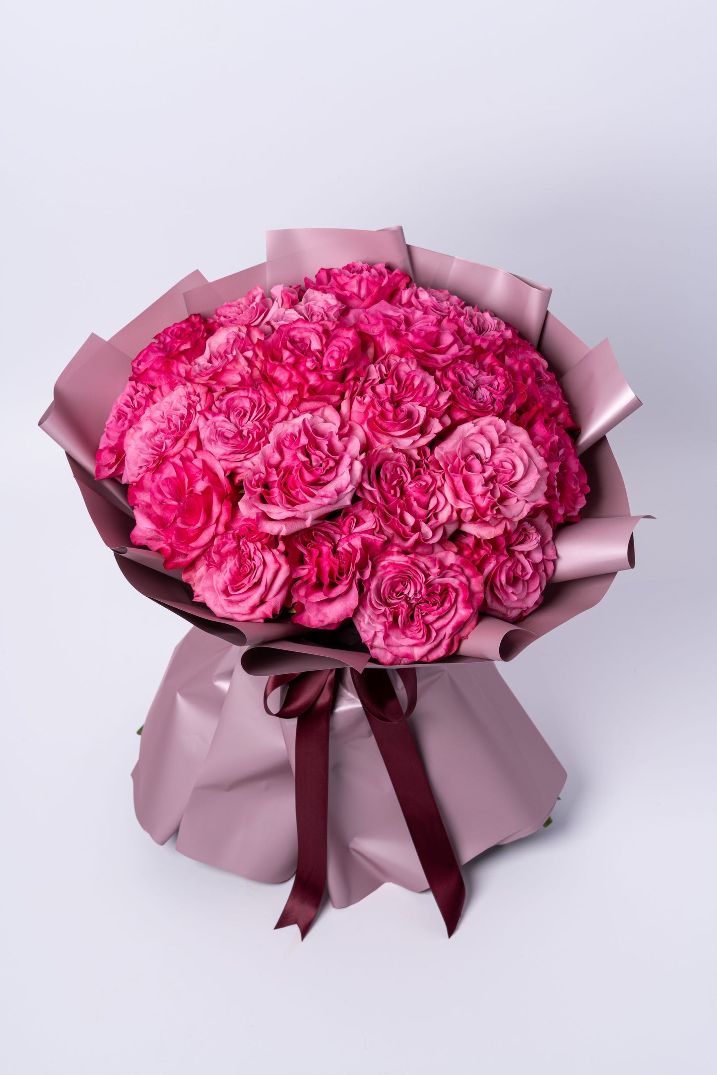 Blush Radiance | Premium Pink Ecuadorian Garden Rose Bouquet