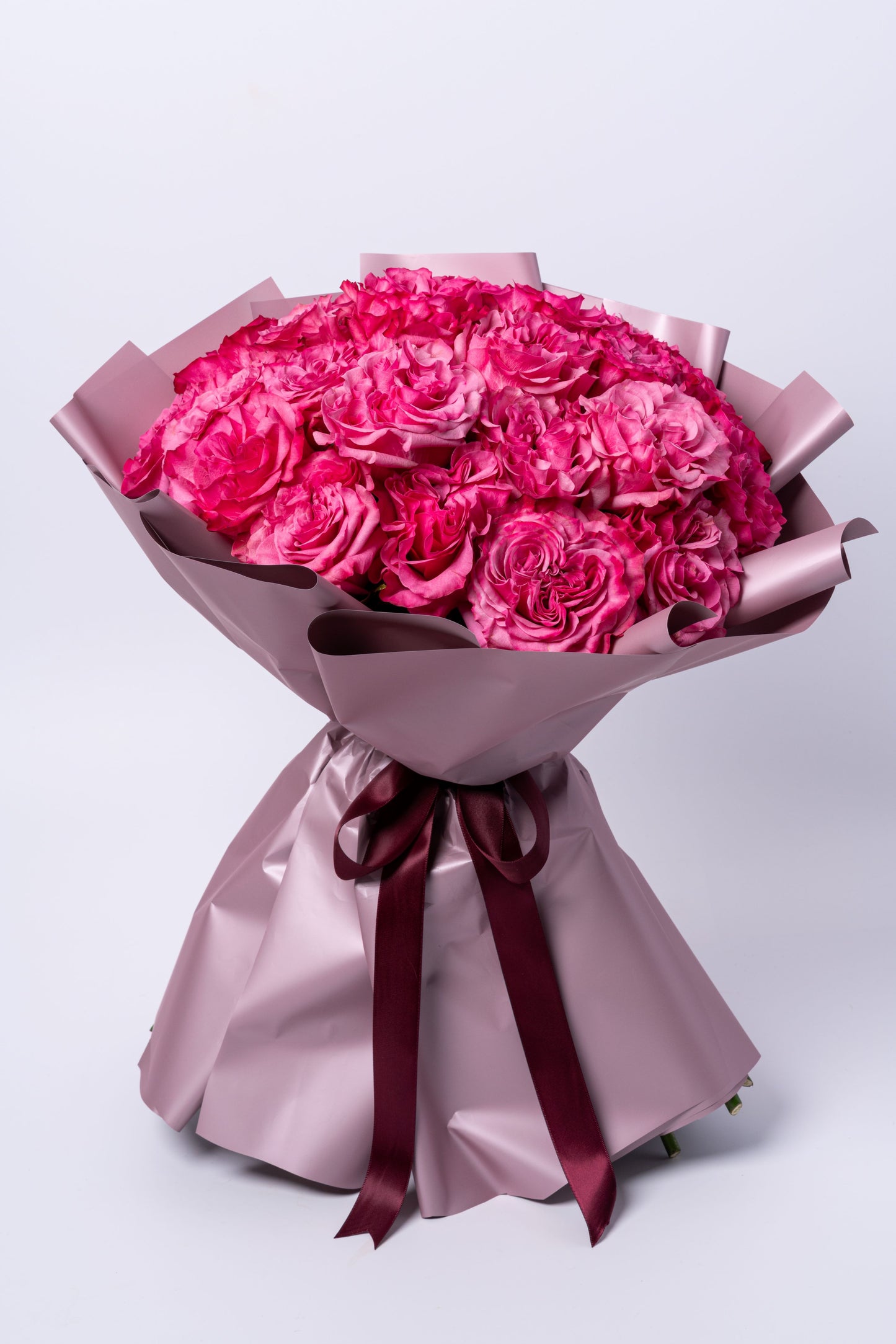 Blush Radiance | Premium Pink Ecuadorian Garden Rose Bouquet