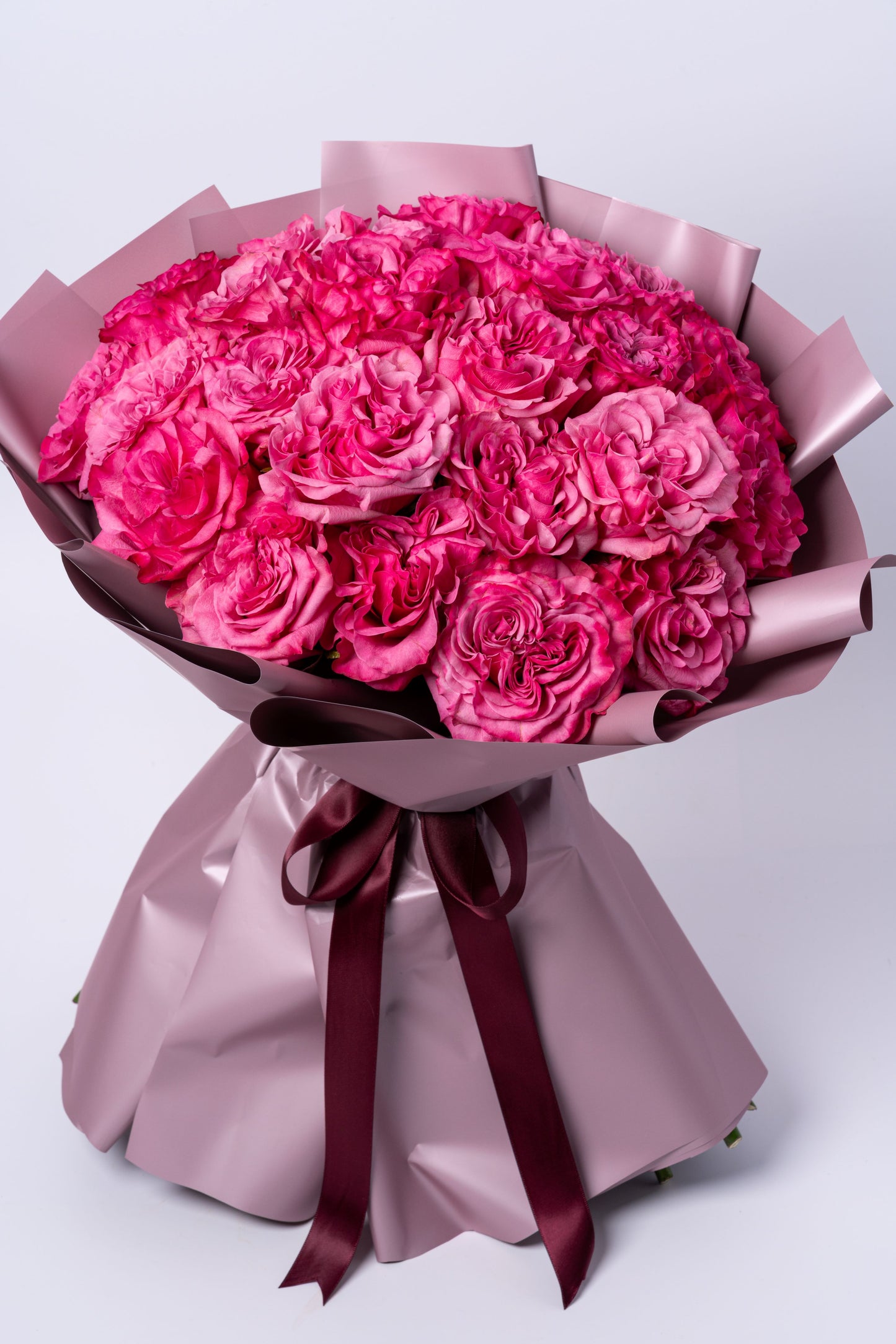 Blush Radiance | Premium Pink Ecuadorian Garden Rose Bouquet
